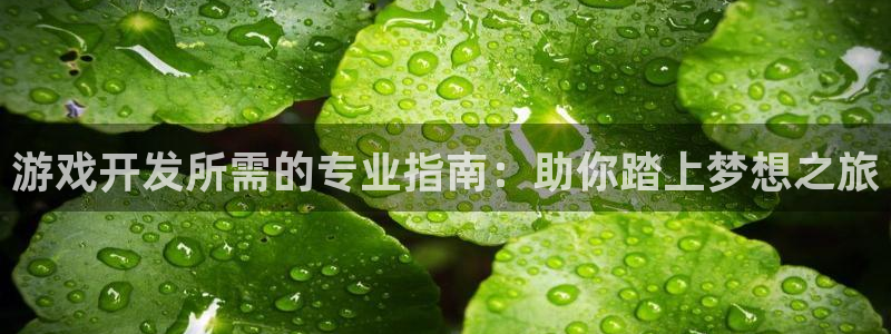 沐鸣娱乐2注册官网
