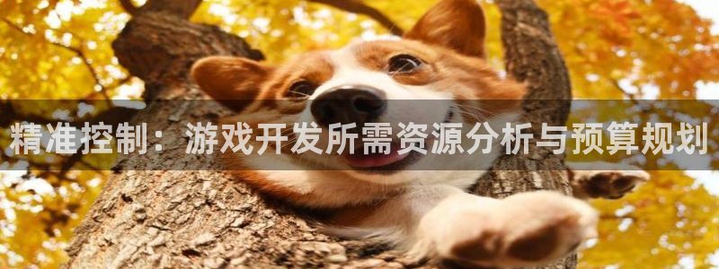 沐鸣娱乐2官方平台投诉：精准控制：游戏开发所需资源分析与预算规划