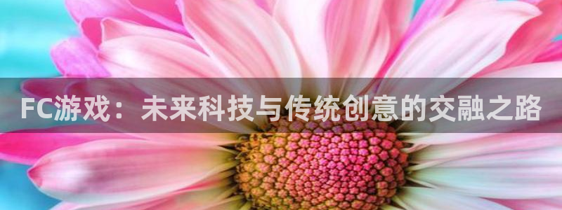 沐鸣娱乐2怎么登录账号：FC游戏：未来科技与传统创意的交融之路