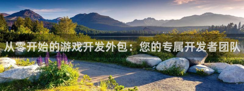 沐鸣2平台测速登录：从零开始的游戏开发外包：您的专属开发者团队