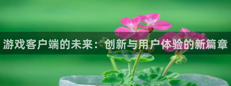 沐鸣2选 37OO735：游戏客户端的未来：创新与用户体验的新篇章