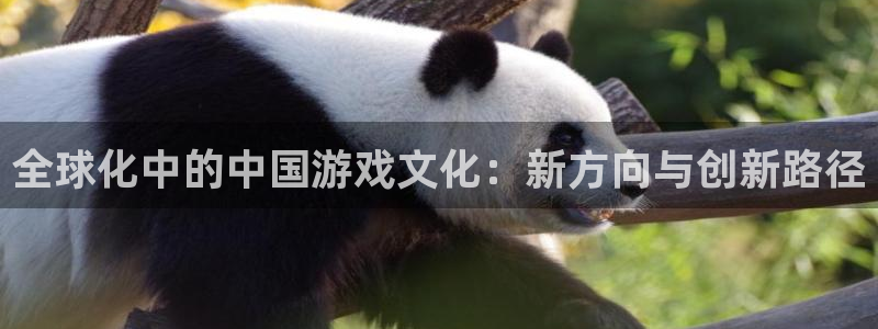 沐鸣2注册平台：全球化中的中国游戏文化：新方向与创新路径