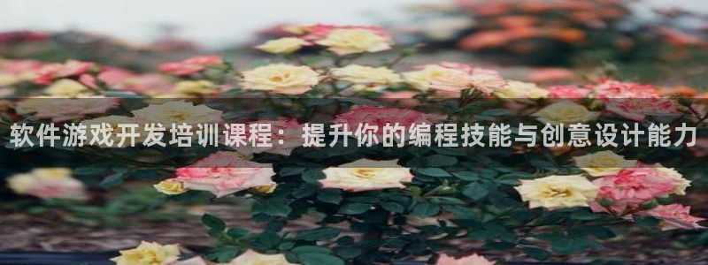 沐鸣2平台测速登录：软件游戏开发培训课程：提升你的编程技能与创意设计能力