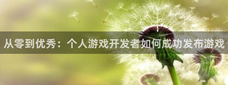 沐鸣娱乐2官方网站注册链接：从零到优秀：个人游戏开发者如何成功发布游戏