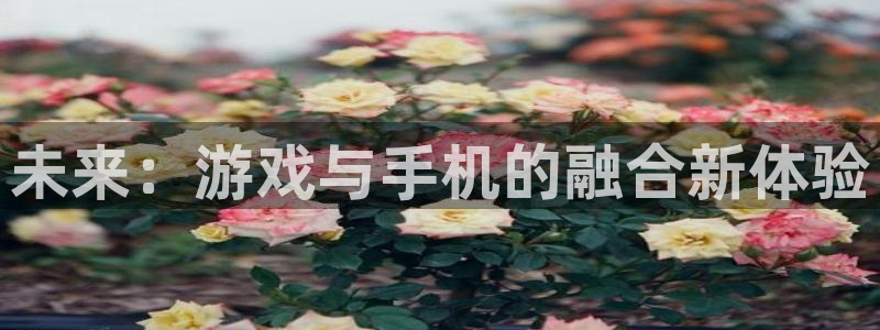 沐鸣2登录注册：未来：游戏与手机的融合新体验