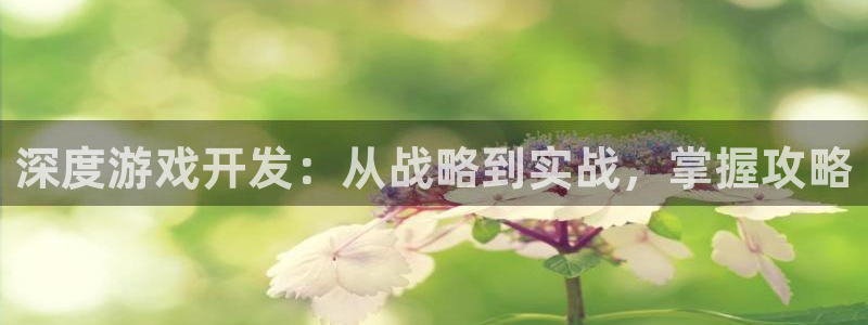 沐鸣娱乐2如何找回密码：深度游戏开发：从战略到实战，掌握攻略