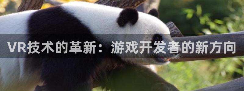 沐鸣2平台负责人：VR技术的革新：游戏开发者的新方向