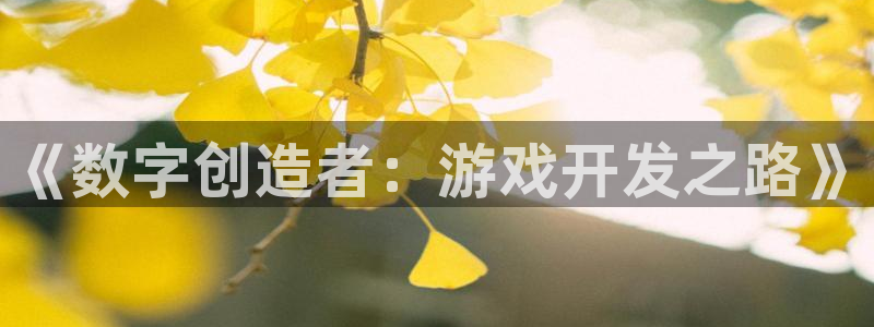 沐鸣娱乐2登录：《数字创造者：游戏开发之路》