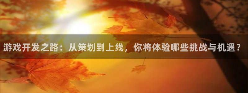 沐鸣娱乐2登录：游戏开发之路：从策划到上线，你将体验哪些挑战与机遇？