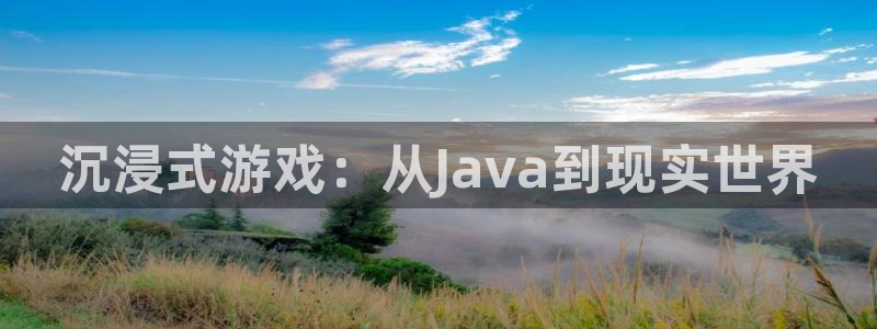 沐鸣2官网 5O6917：沉浸式游戏：从Java到现实世界