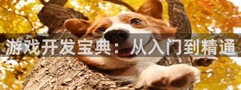 沐鸣娱乐2多彩平台